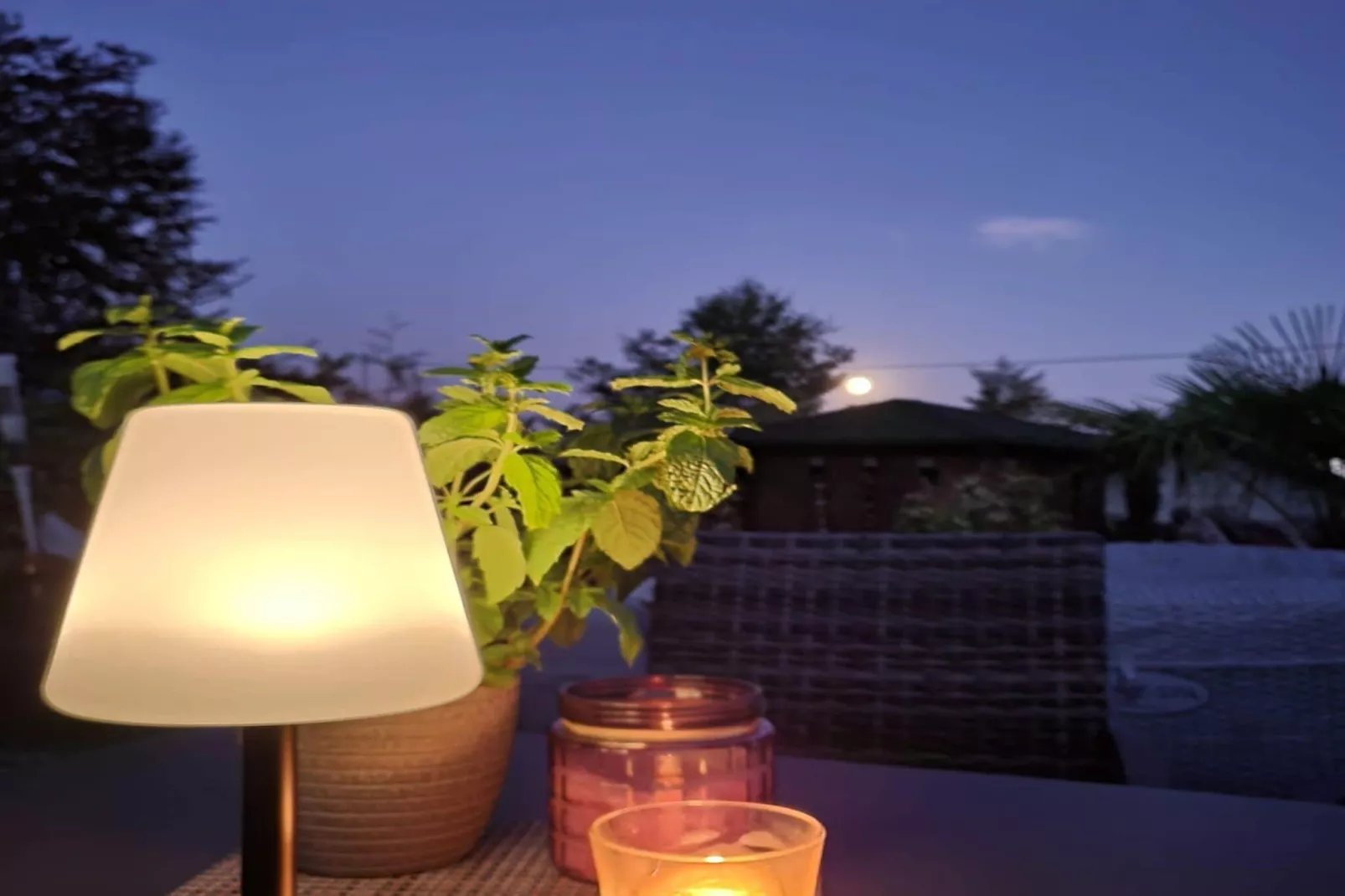 Ferienwohnung Bluzi im Westerwald-Terrace balcony