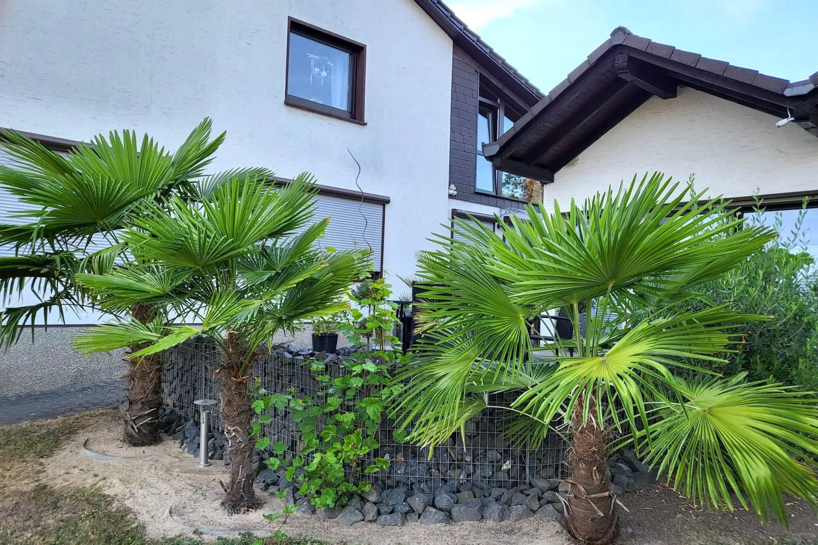 Ferienwohnung Bluzi im Westerwald-Terrace balcony