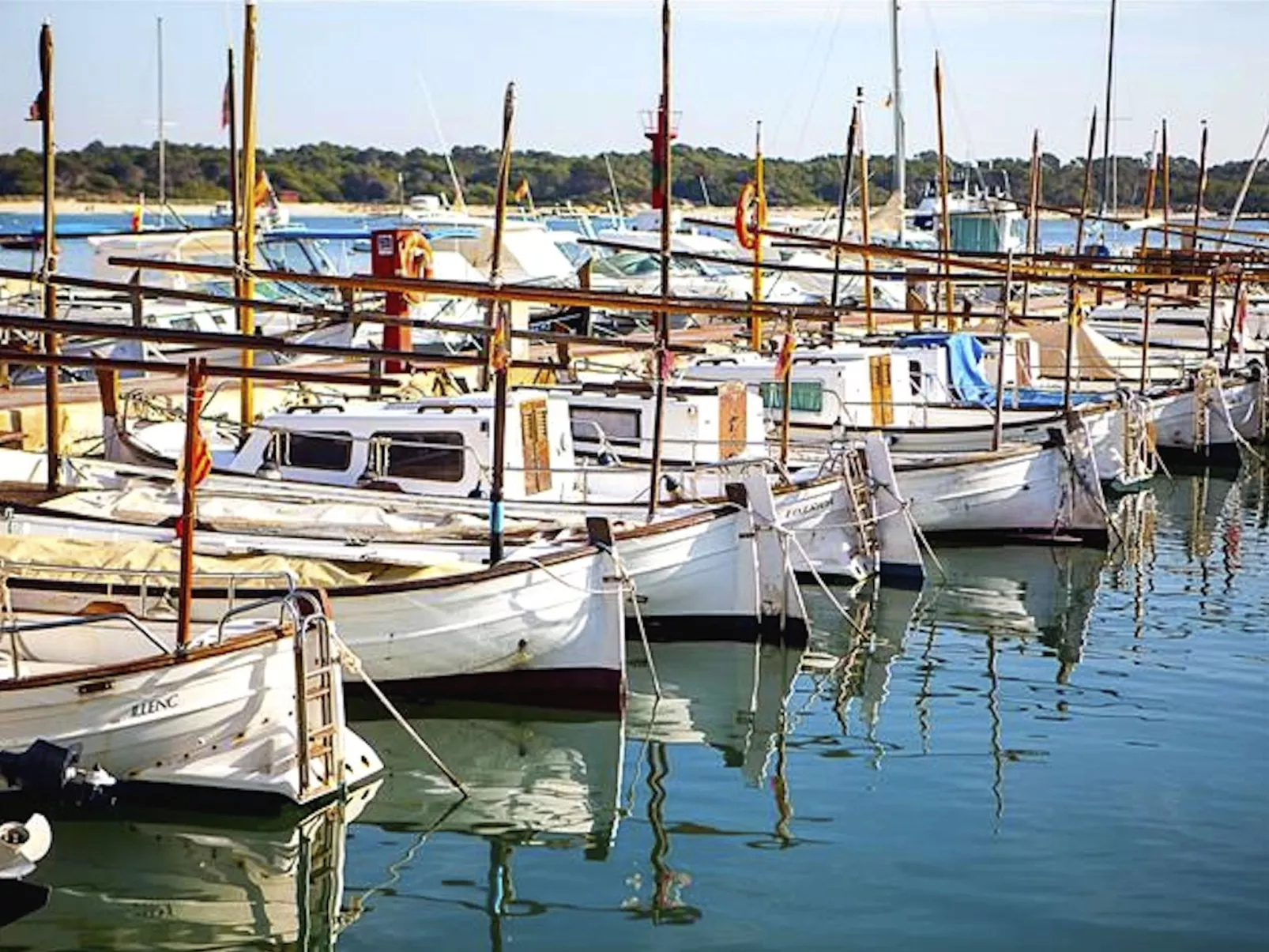 Finca Alfabia Campos-Draußen