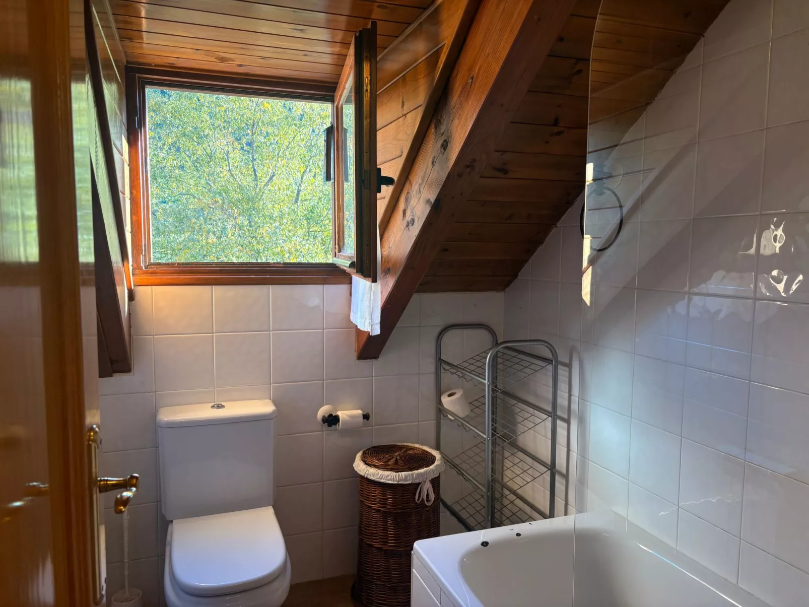 Dachgeschosswohnung mit Velux erta 3 Vall de Boí-Dedans