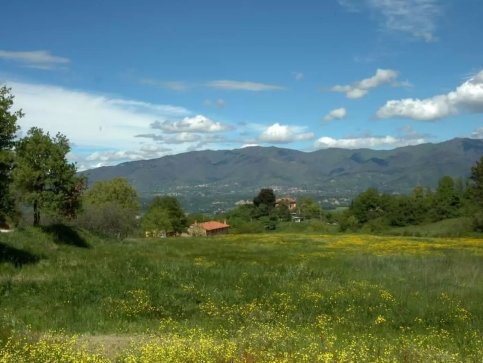 Anwesen "Frantoio" mit Infinity-Pool-Outside