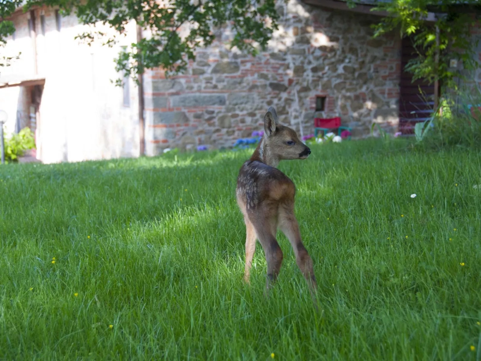 Wohnung in Figline Valdarno mit Gemeinschaftspool-Outside