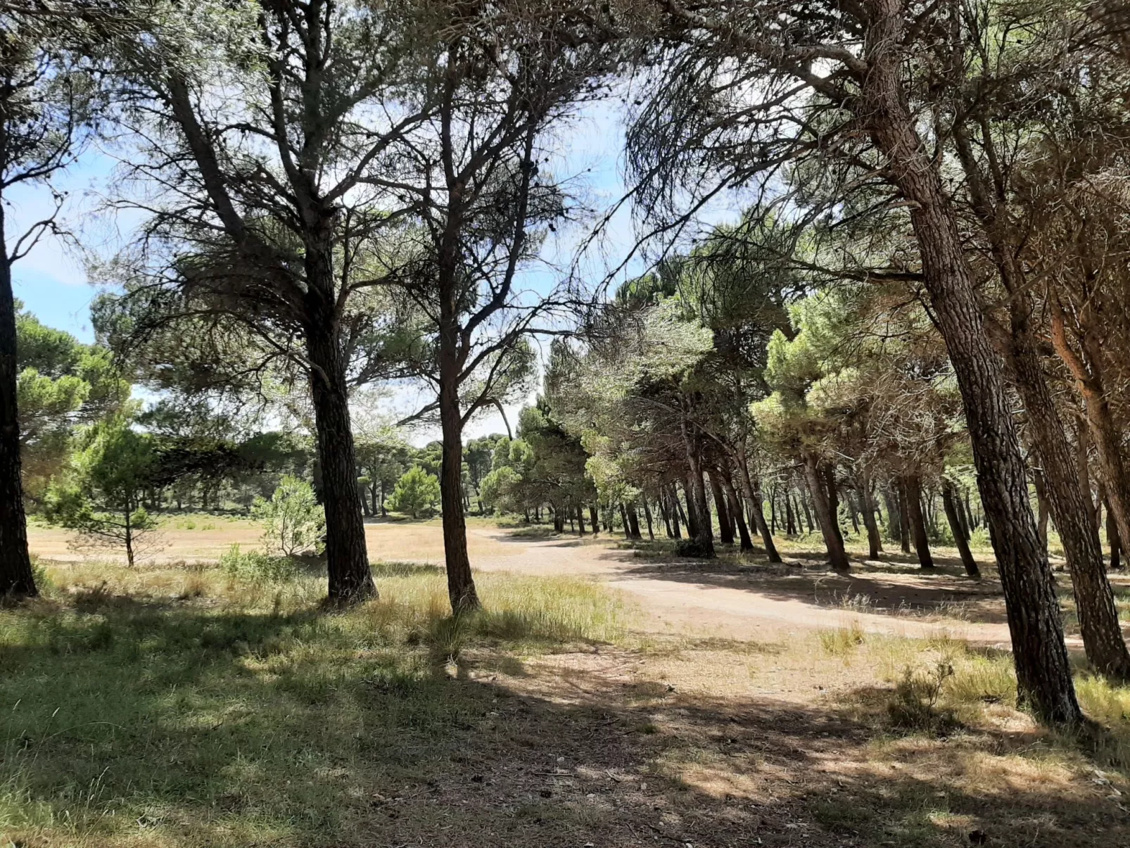 Landwohnung mit Bergblick-Image-tags.info