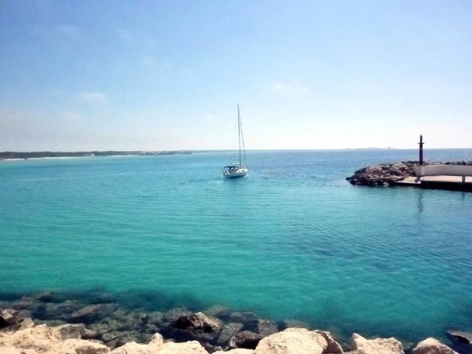 Finca Esmeralda-Image-tags.info