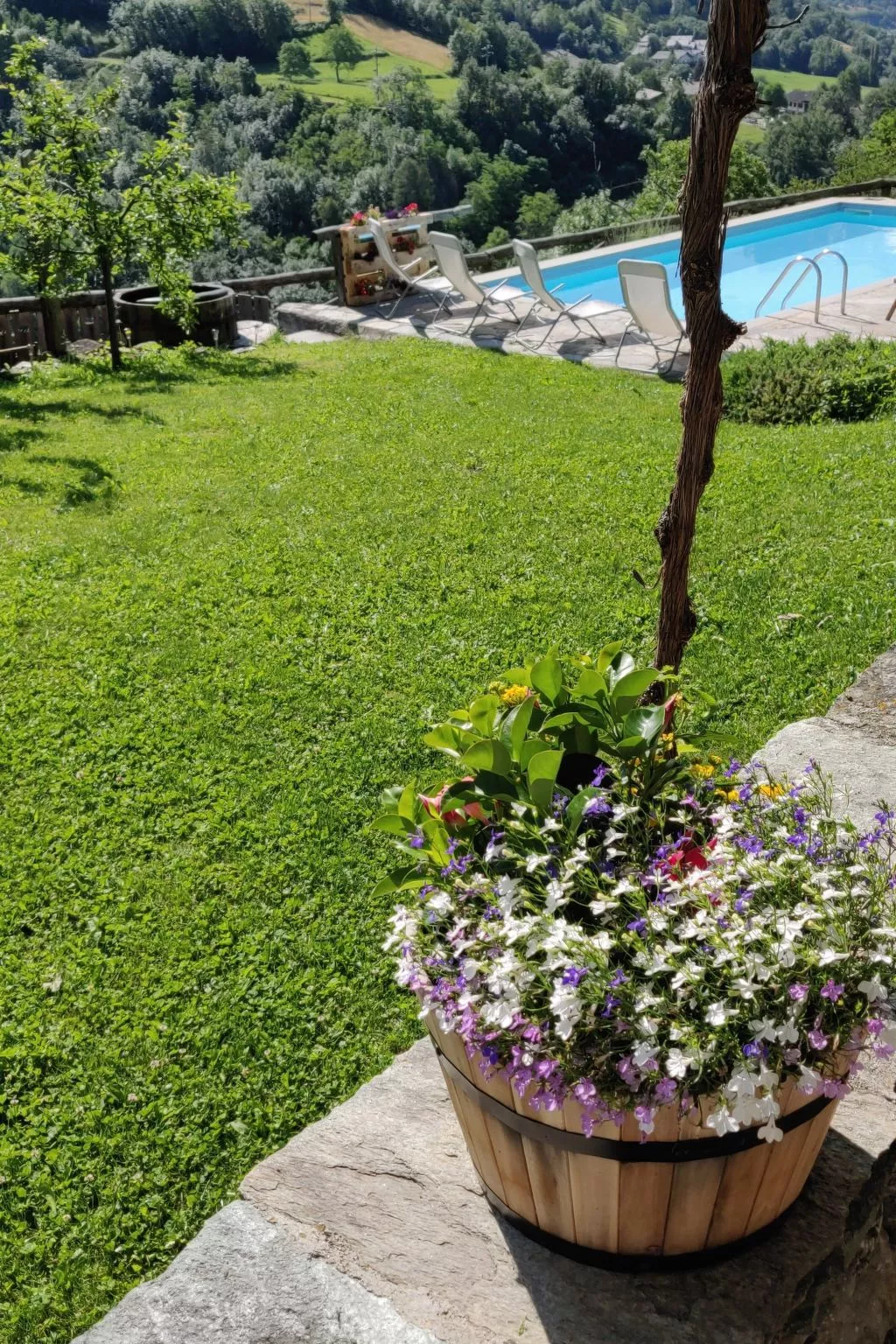 Drei-Zimmer-Wohnung La Mucca in Gignod-Image-tags.info