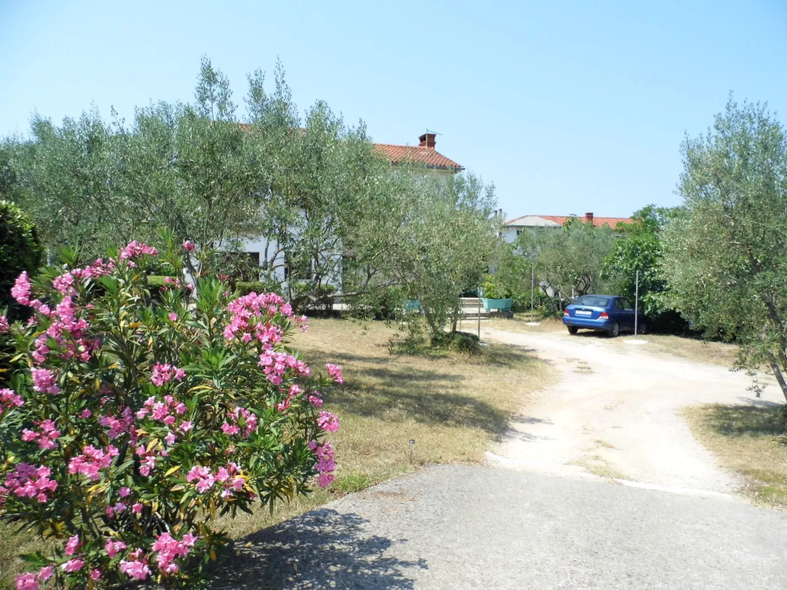 Schöne, gemütliche Ferienwohnung "Mira B" mit Garten-Draußen