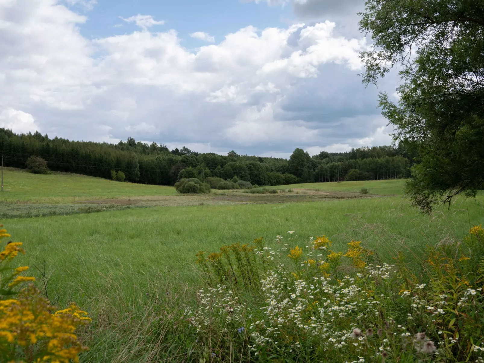 Vogelecke - abseits des Trubels und der Hektik-Dehors