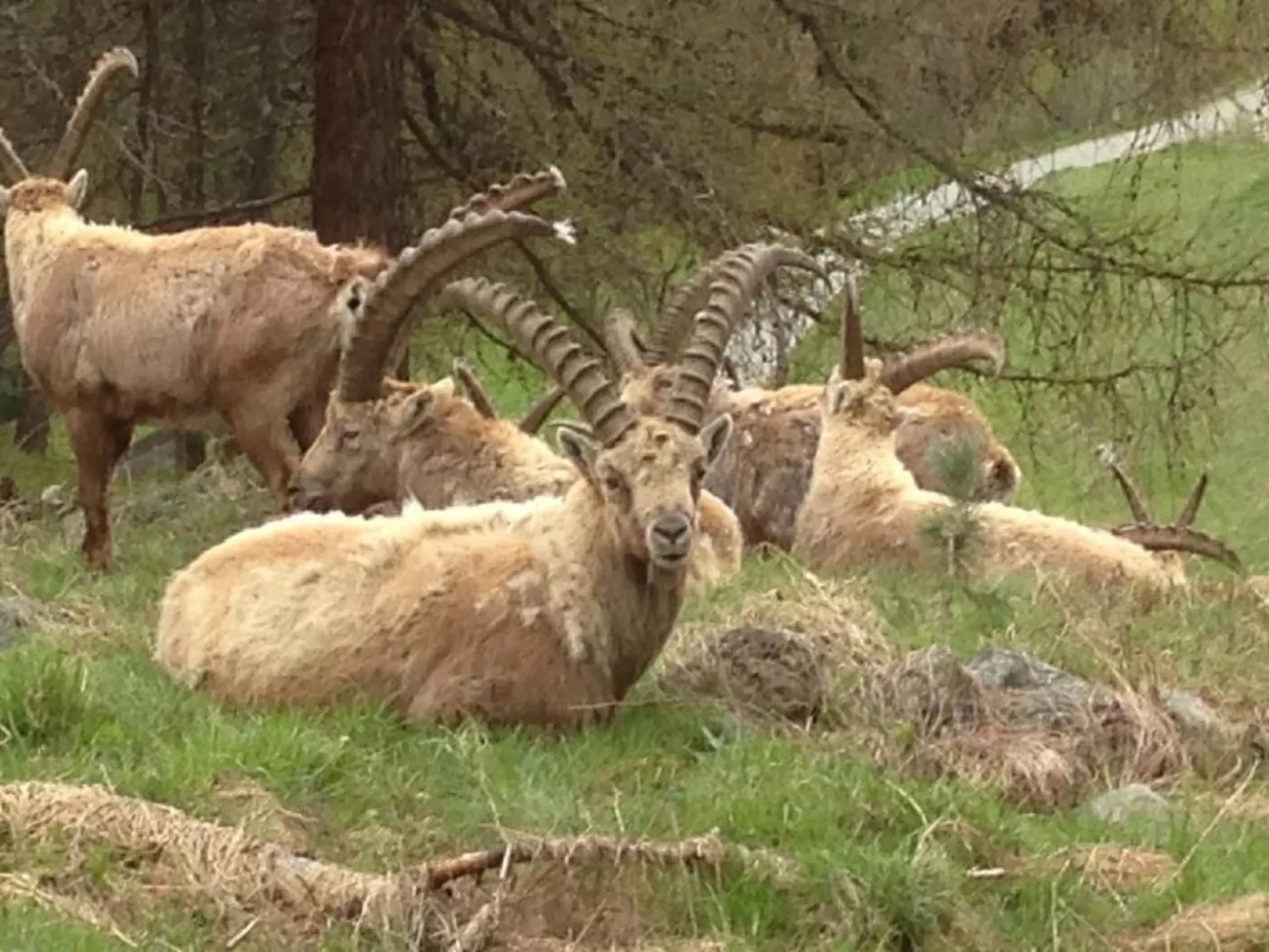 Chesa Andrea, EG-Outside