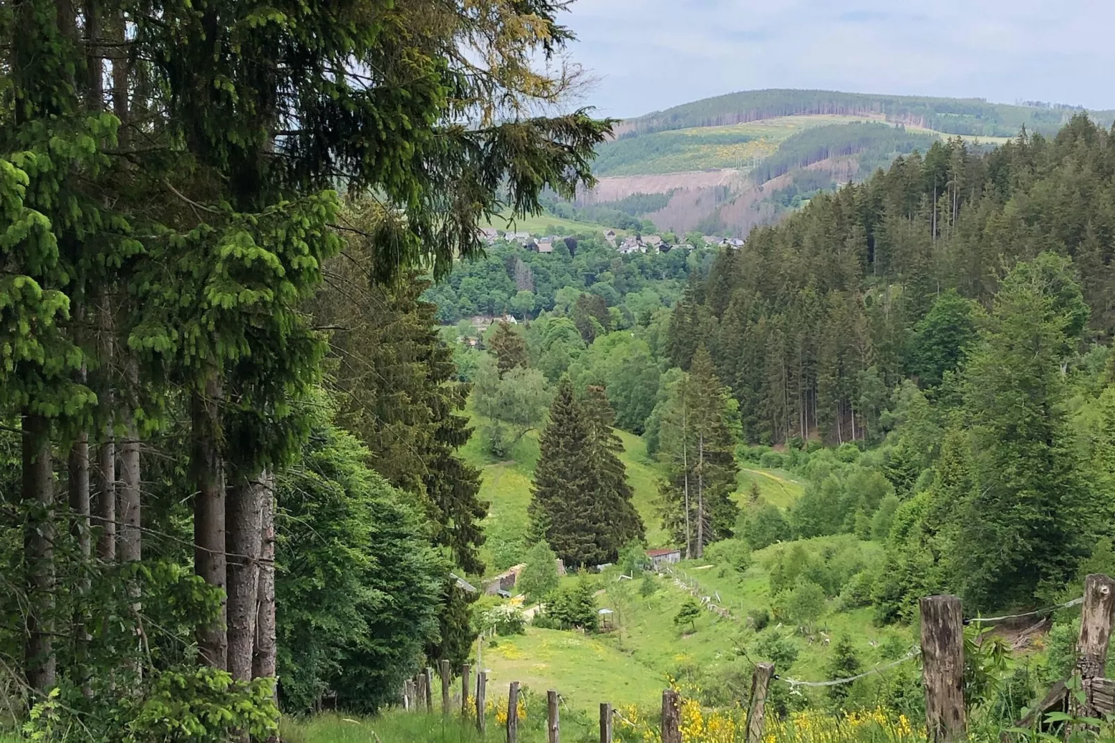 Lodge Winterberg-Areas summer 1km