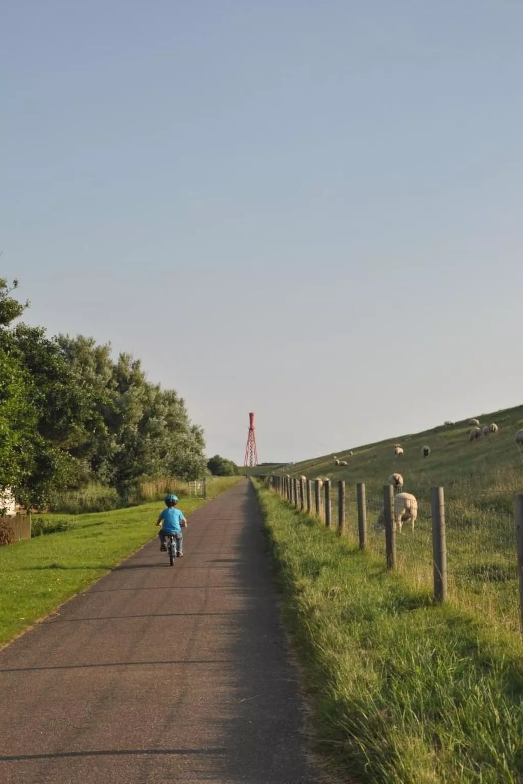 Eul in Butjadingen-Großwürden-Draußen