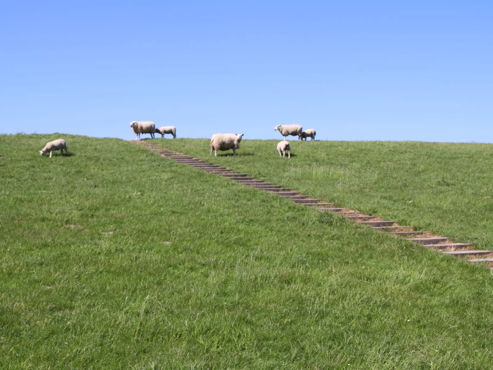 Meermomente-Draußen