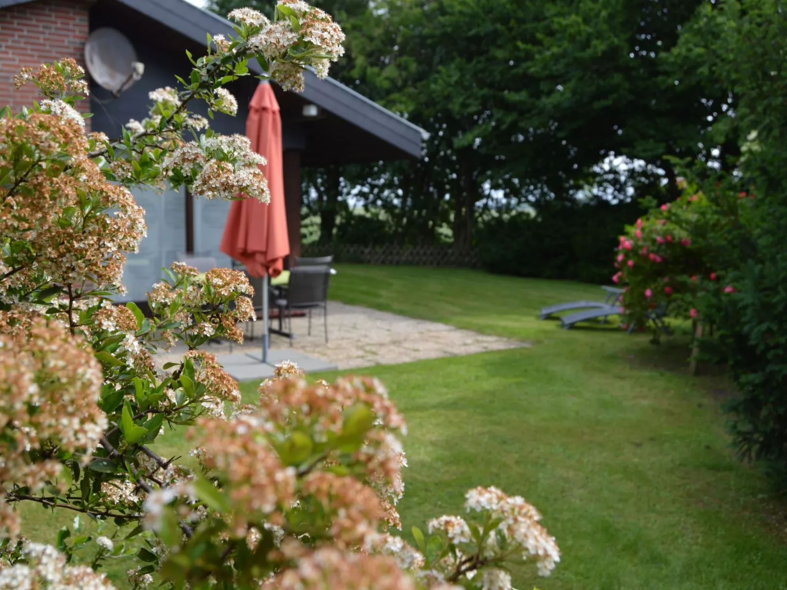 Deichhuus - ruhig am Feldrand in Sackgassenlage-Outside