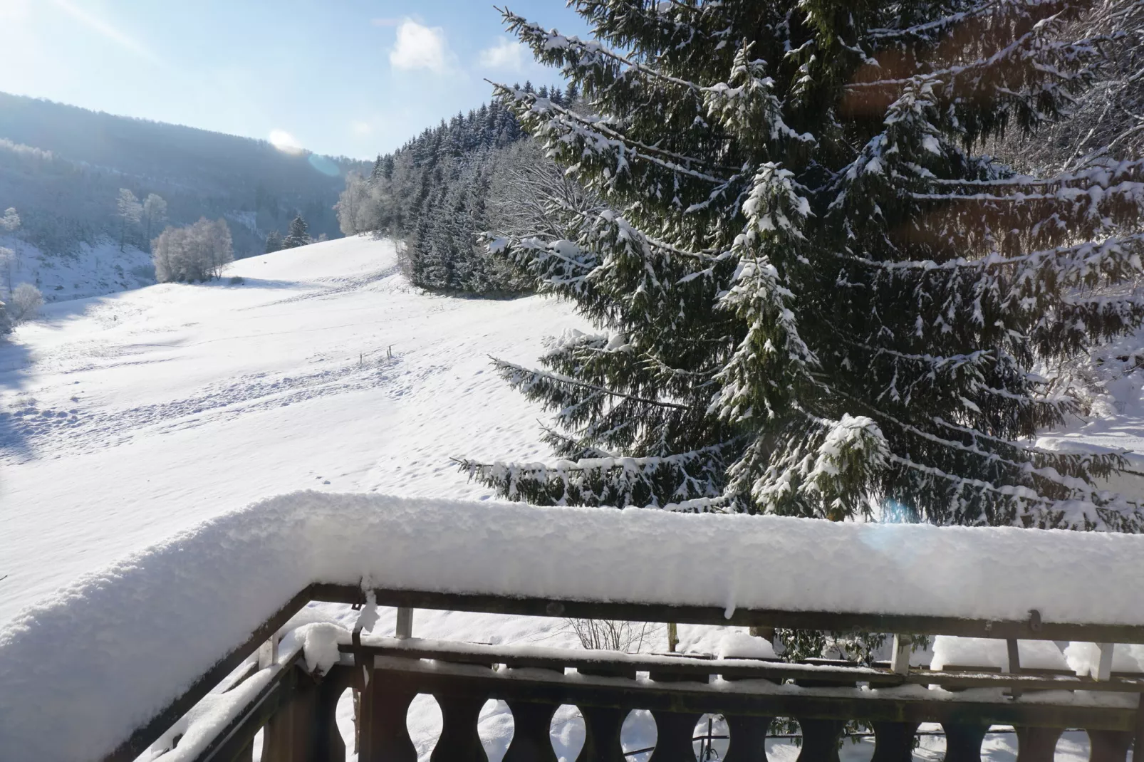 Landhaus  Lodge Winterberg-Aussicht Winter