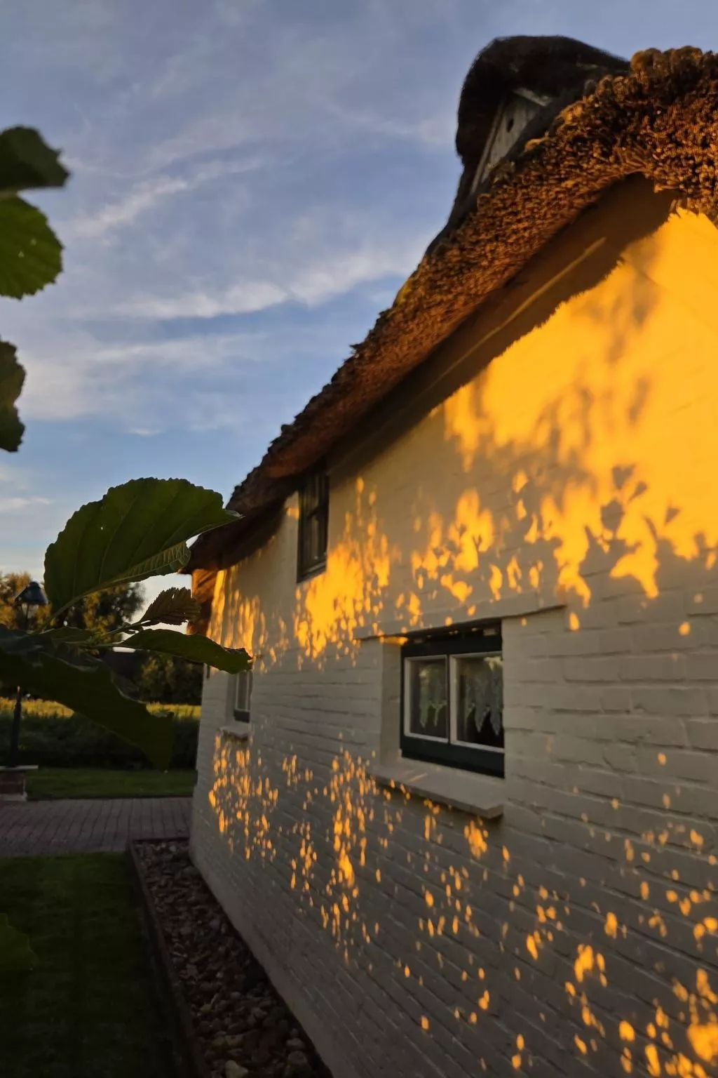 Reetdachhaus Petra-Dehors