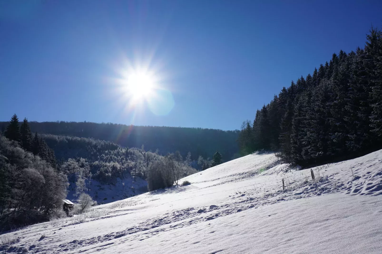 Landhaus  Lodge Winterberg-Gebiet Winter 1 km
