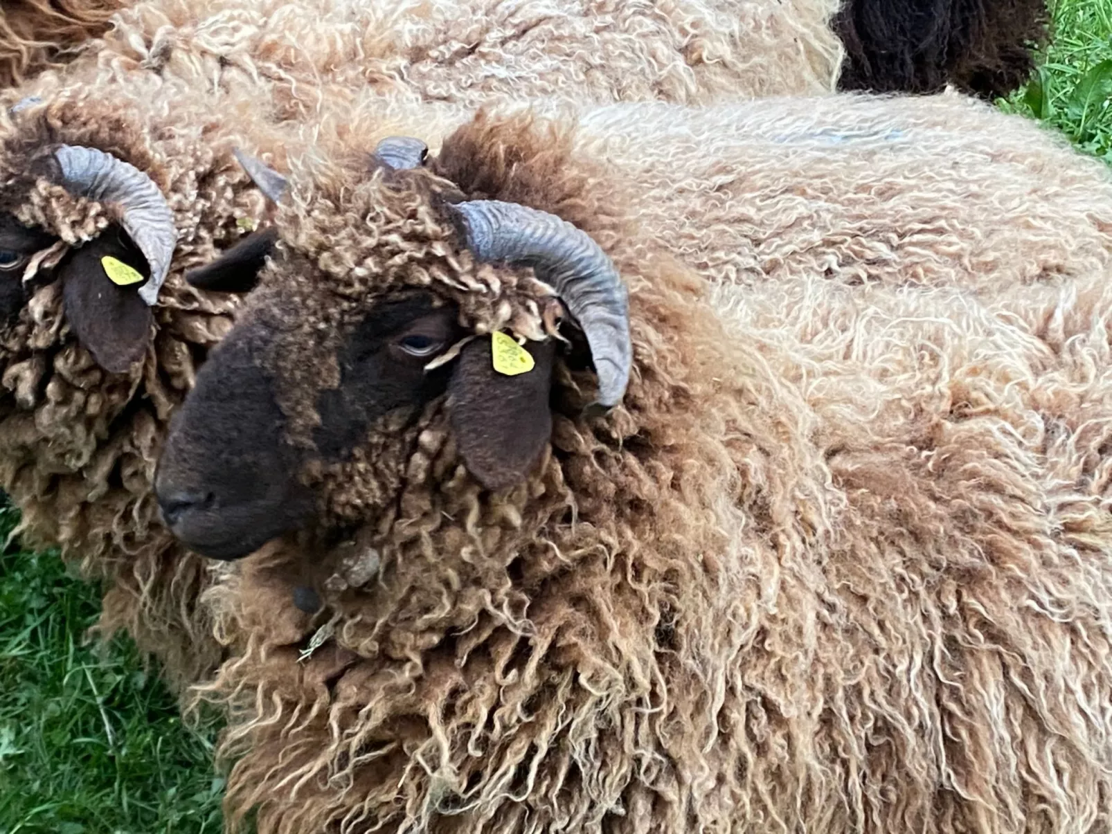 Ferien im Baudenkmal Mühle-Outside