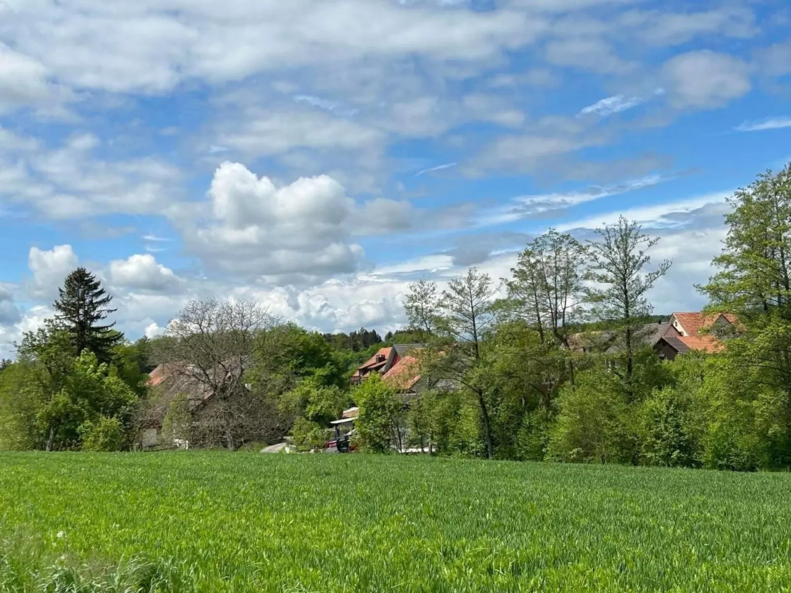 Apfelgarten-Image-tags.info