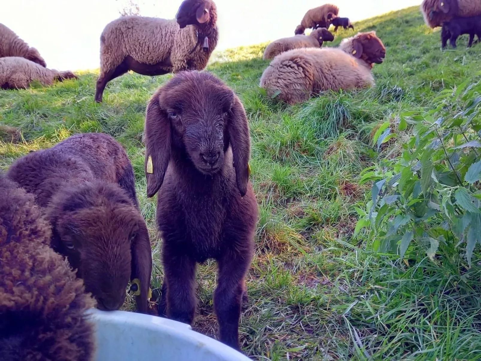 Biohof Langberg-Outside