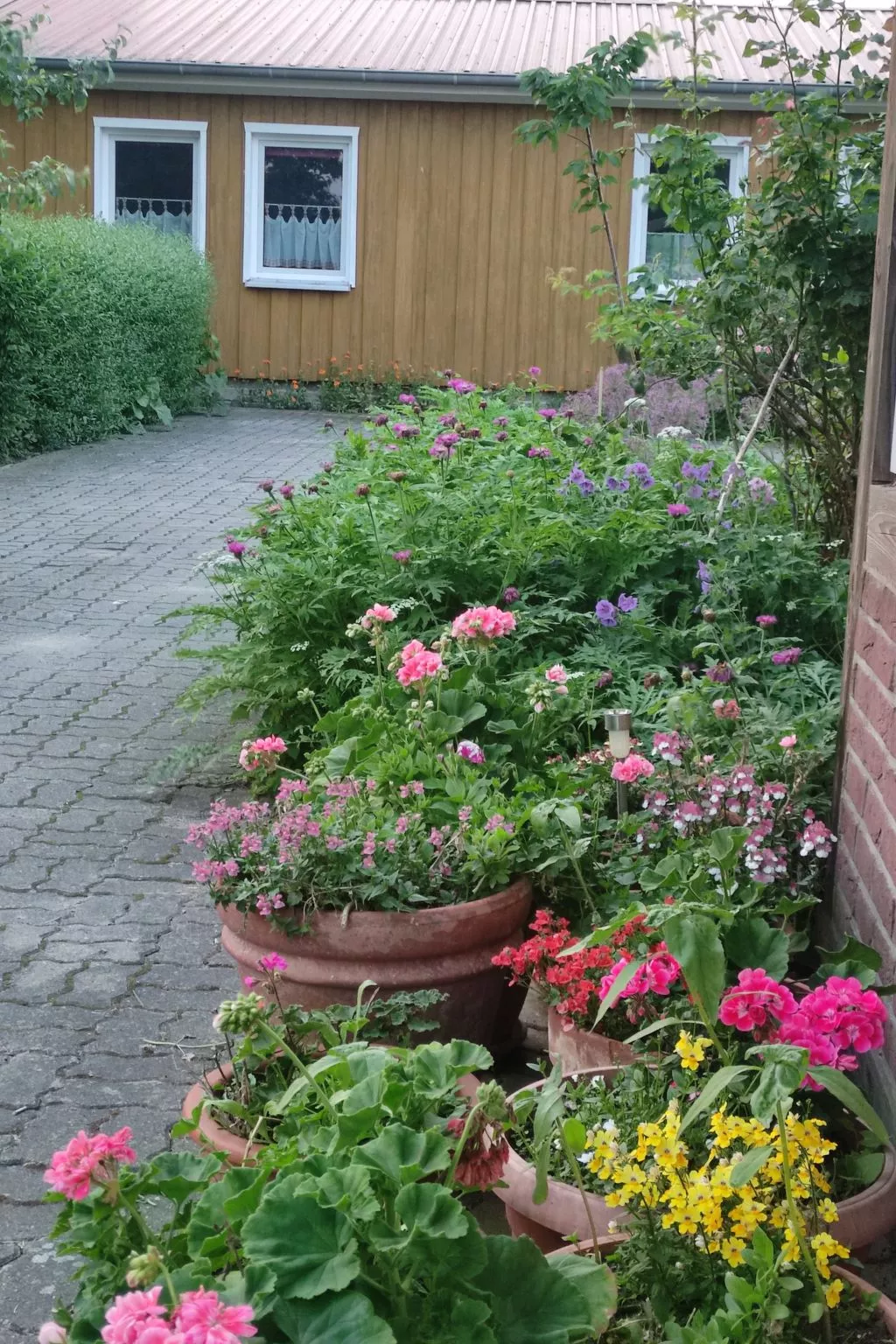 Janet Ratschkowski-Draußen