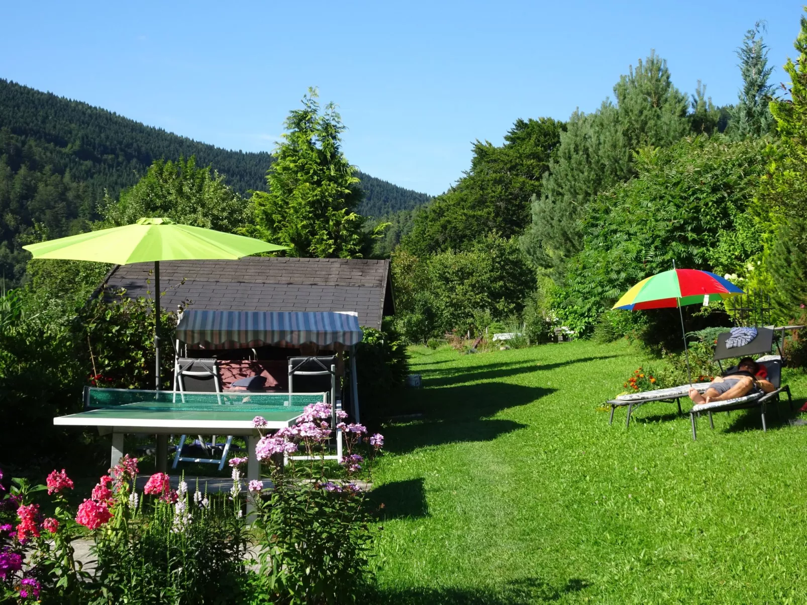 FeWo Panorama *****-Outside