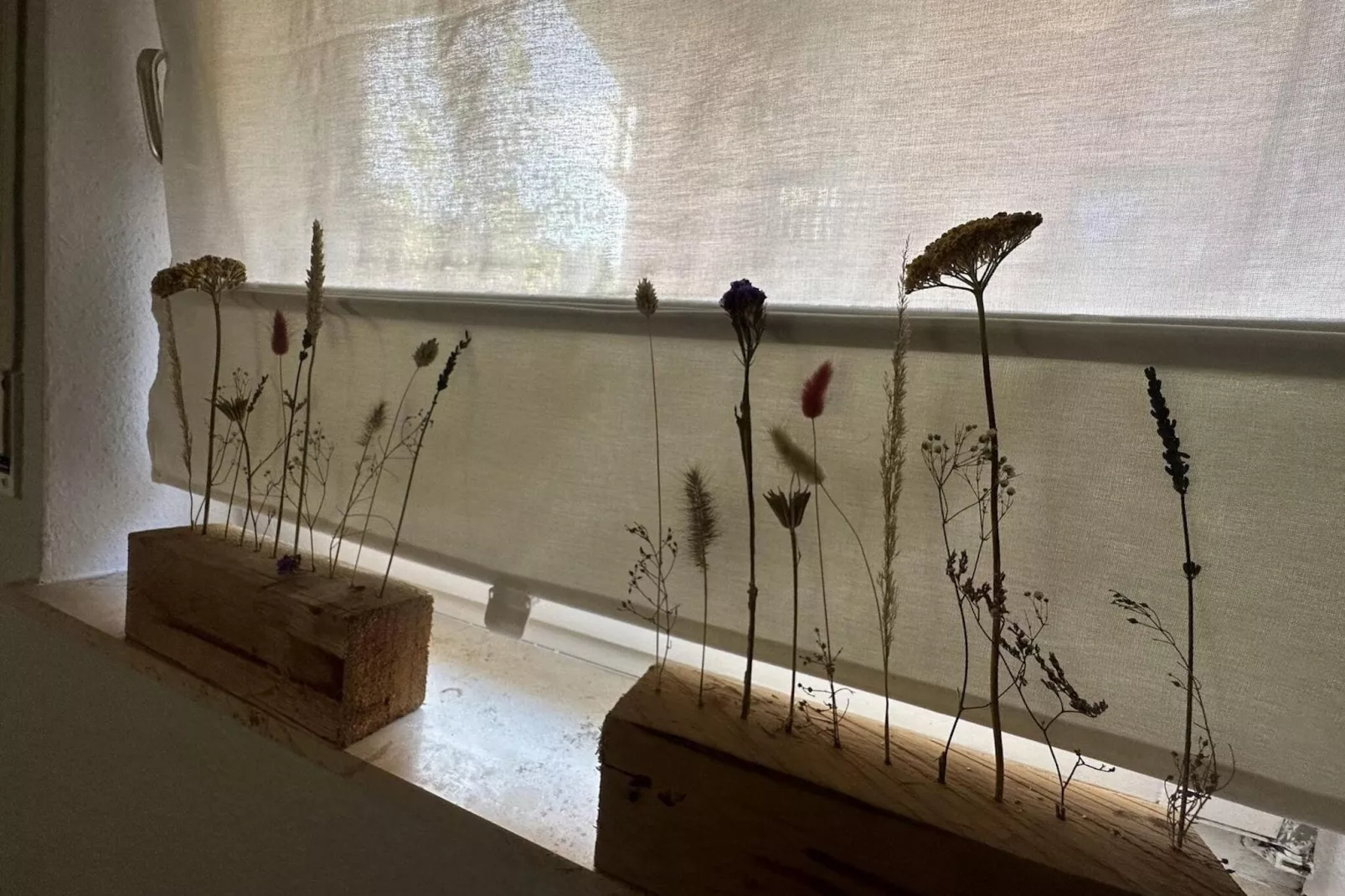 Apartment Stammecke-Ambiente