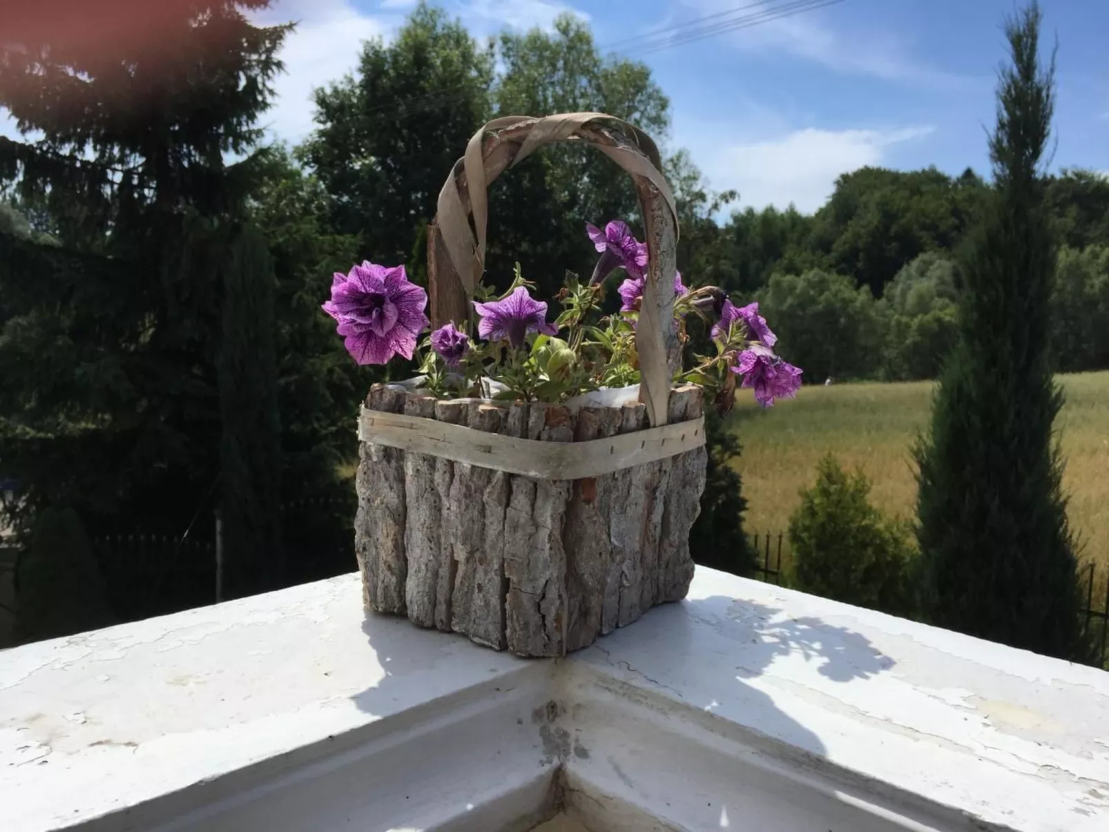 Komfortables Ferienhaus Ewa in Meszna Opacka-Image-tags.info