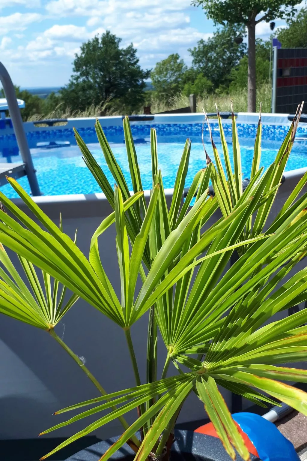 Fewo. Liebelt-Dehors