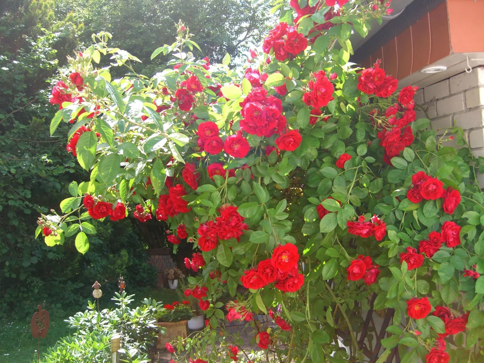 Gemütliches Ferienhaus in Fischbach Rhön-Image-tags.info