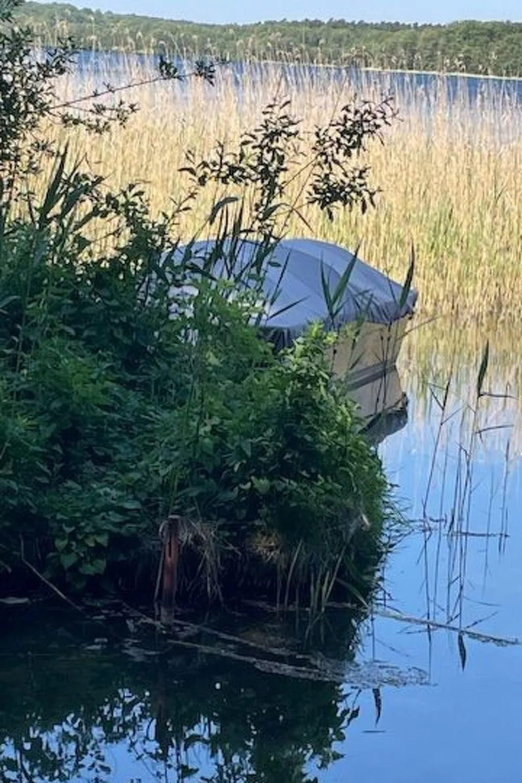 Bungalow Klein Pritz-Outside