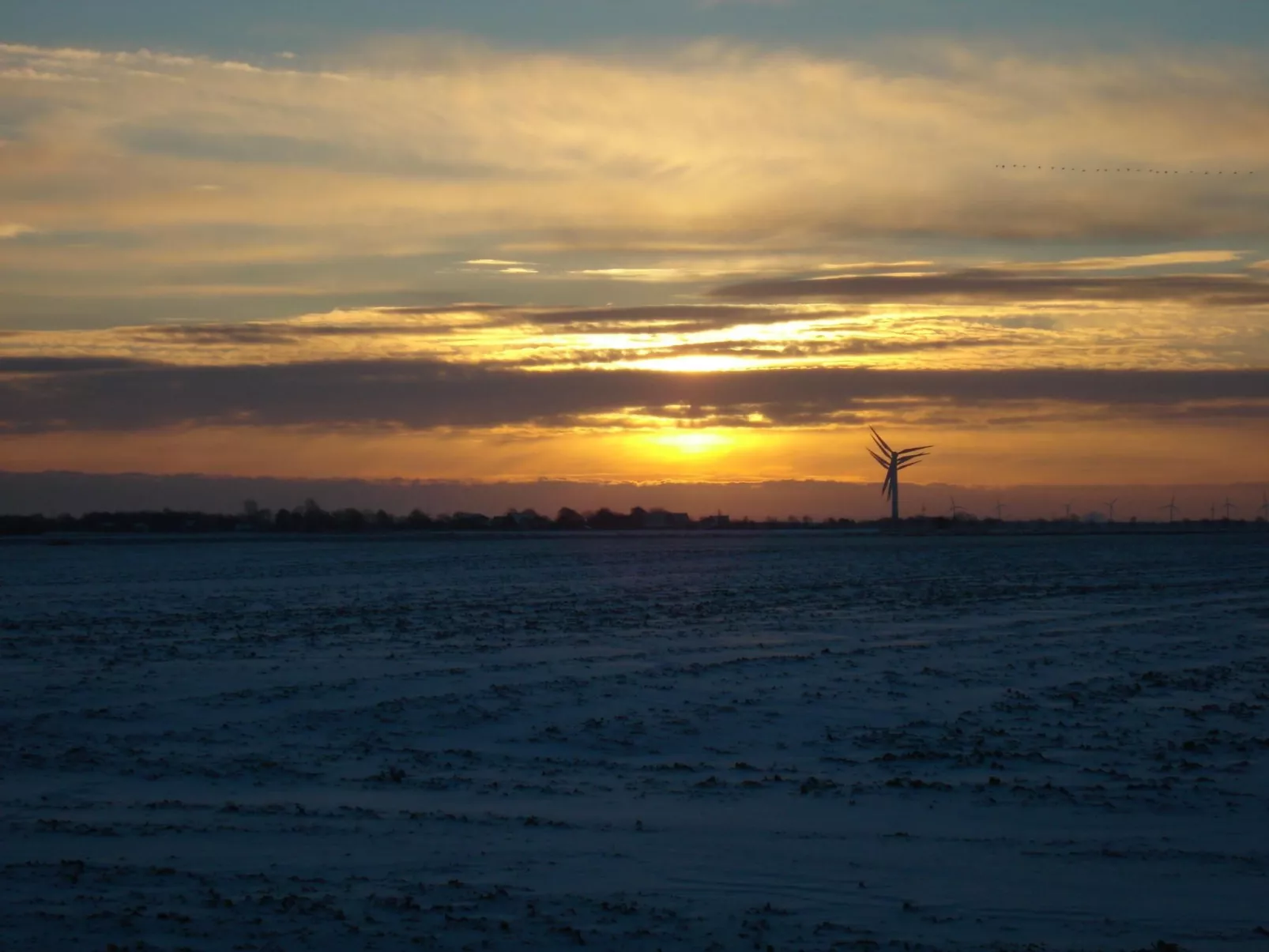 Elbe-Ferienwohnung mit Terrasse nah am Zentrum-Image-tags.info