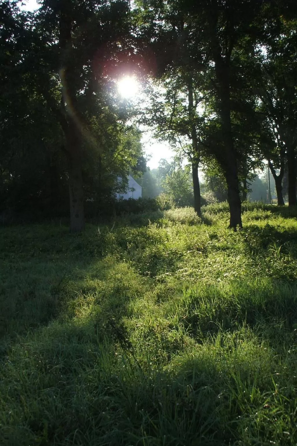 Oderhäuschen-Image-tags.info