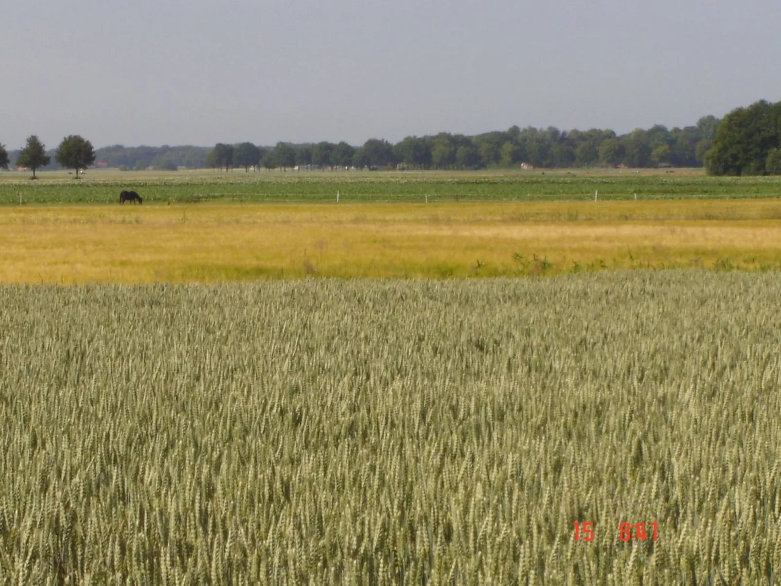Urlaub wie früher auf einem Bauernhof mit dem Komfort von heute.-Dehors