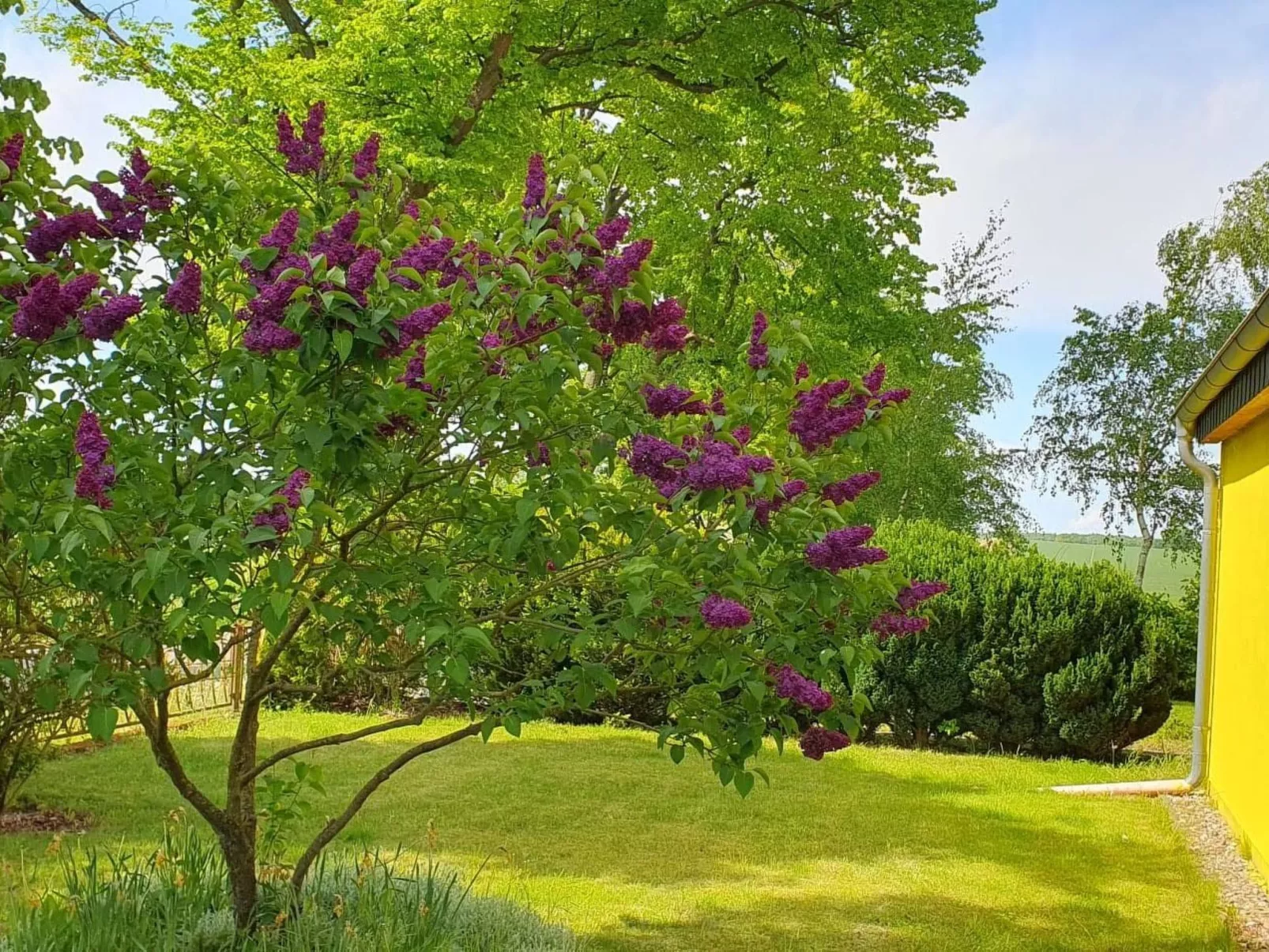Landhaus Müritzliebe-Draußen