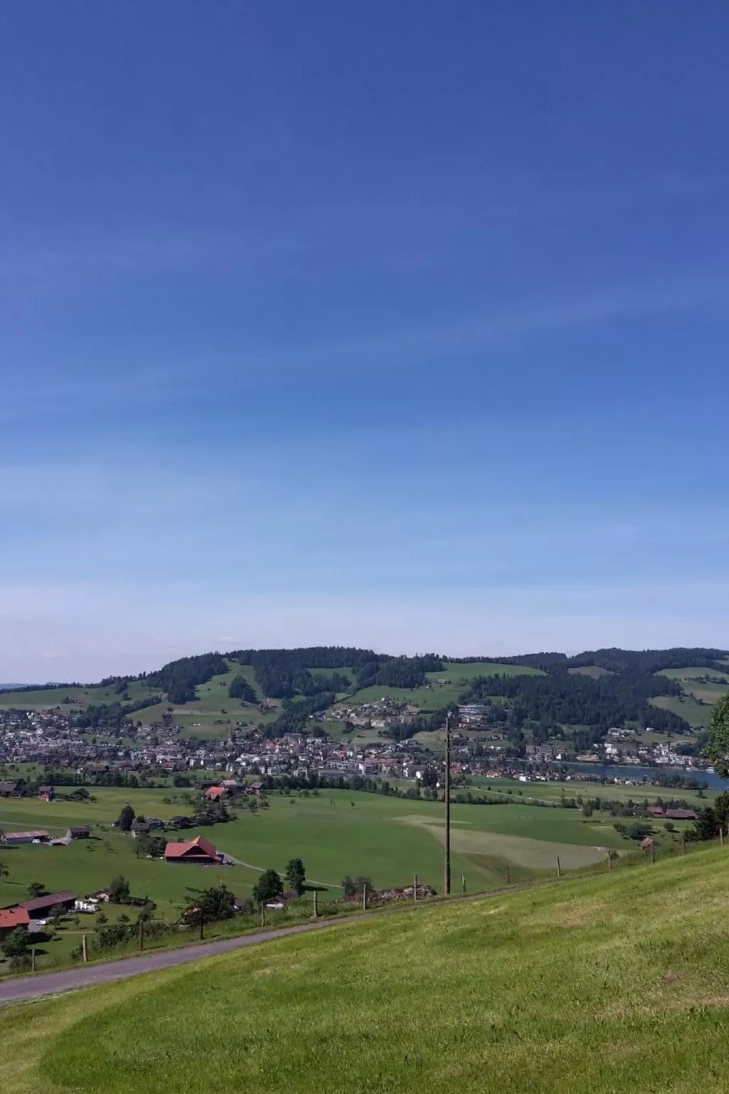 Fruehalp-Image-tags.info