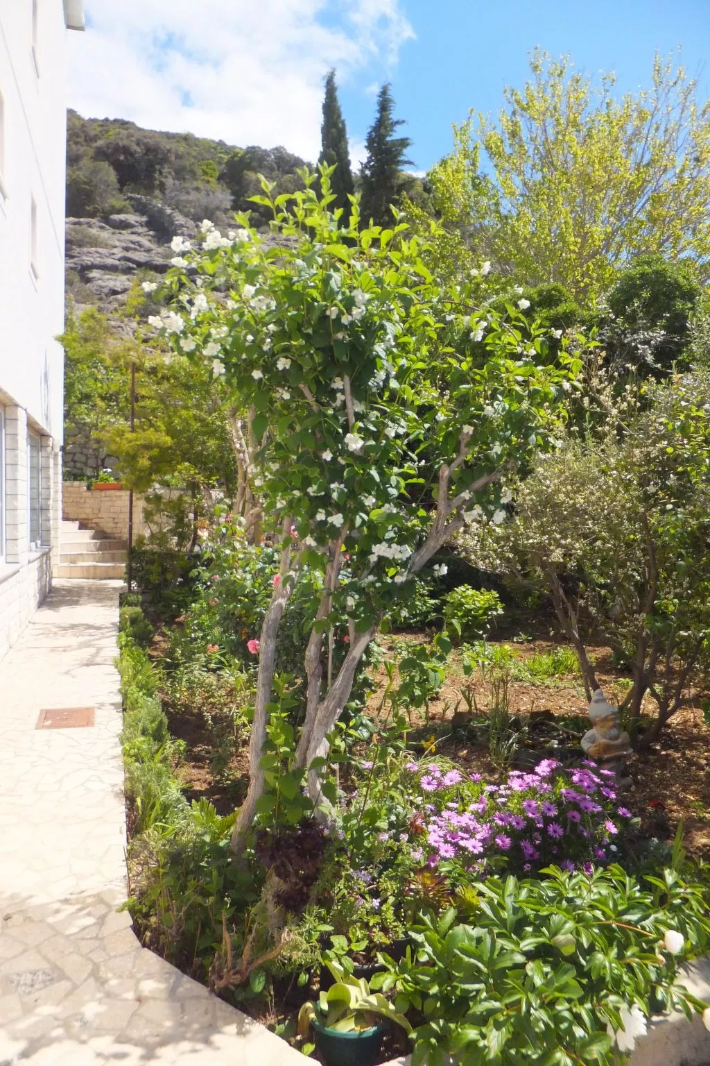 "Appartement 3"-Outside