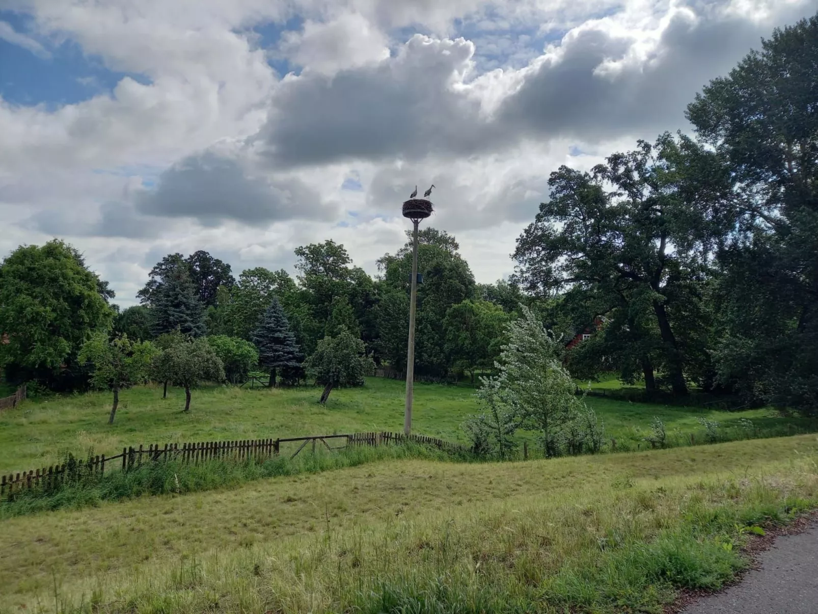Haus Elbrose inmitten von Rosen mit Elbdeichzugang-Dehors