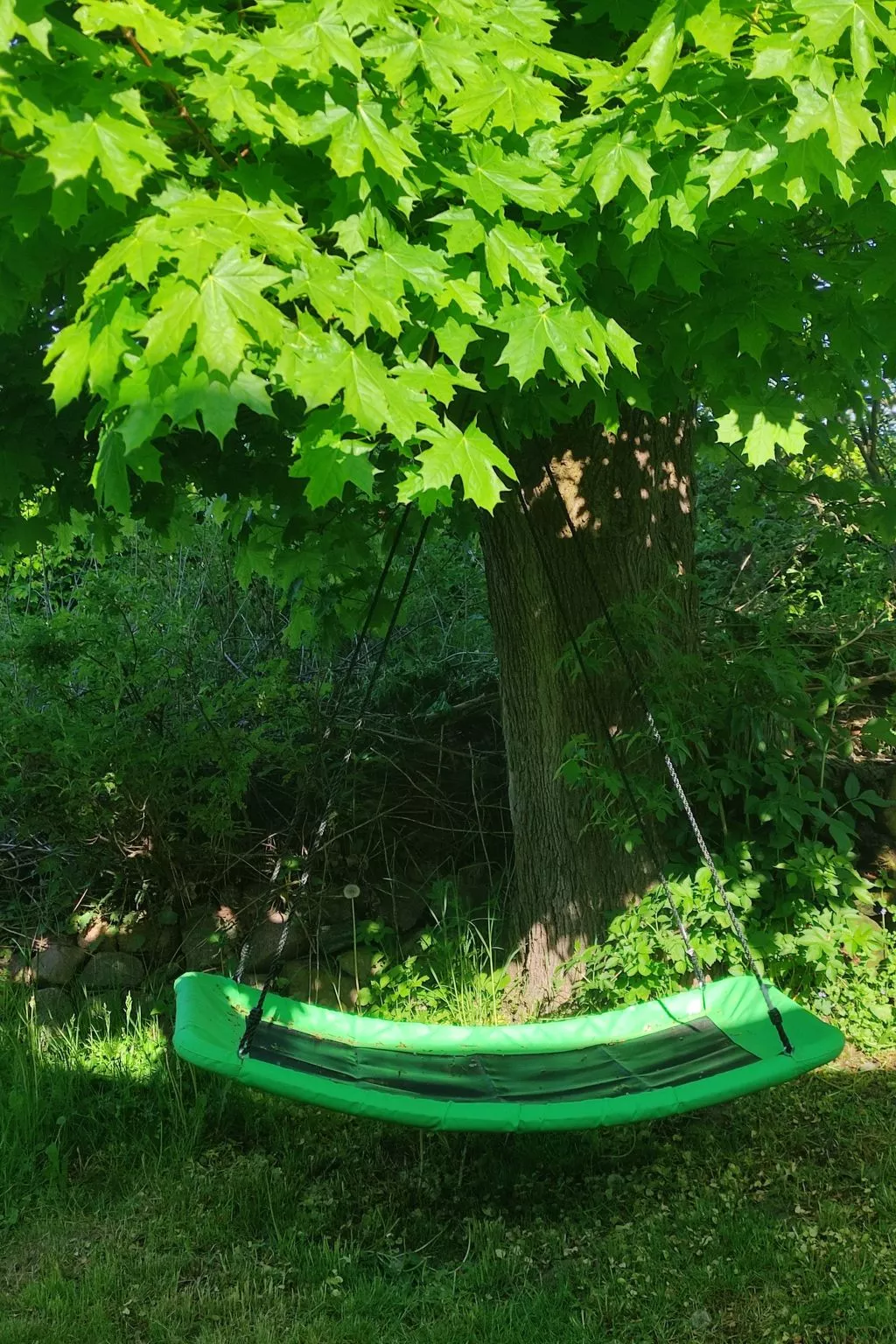 Janet Ratschkowski-Outside