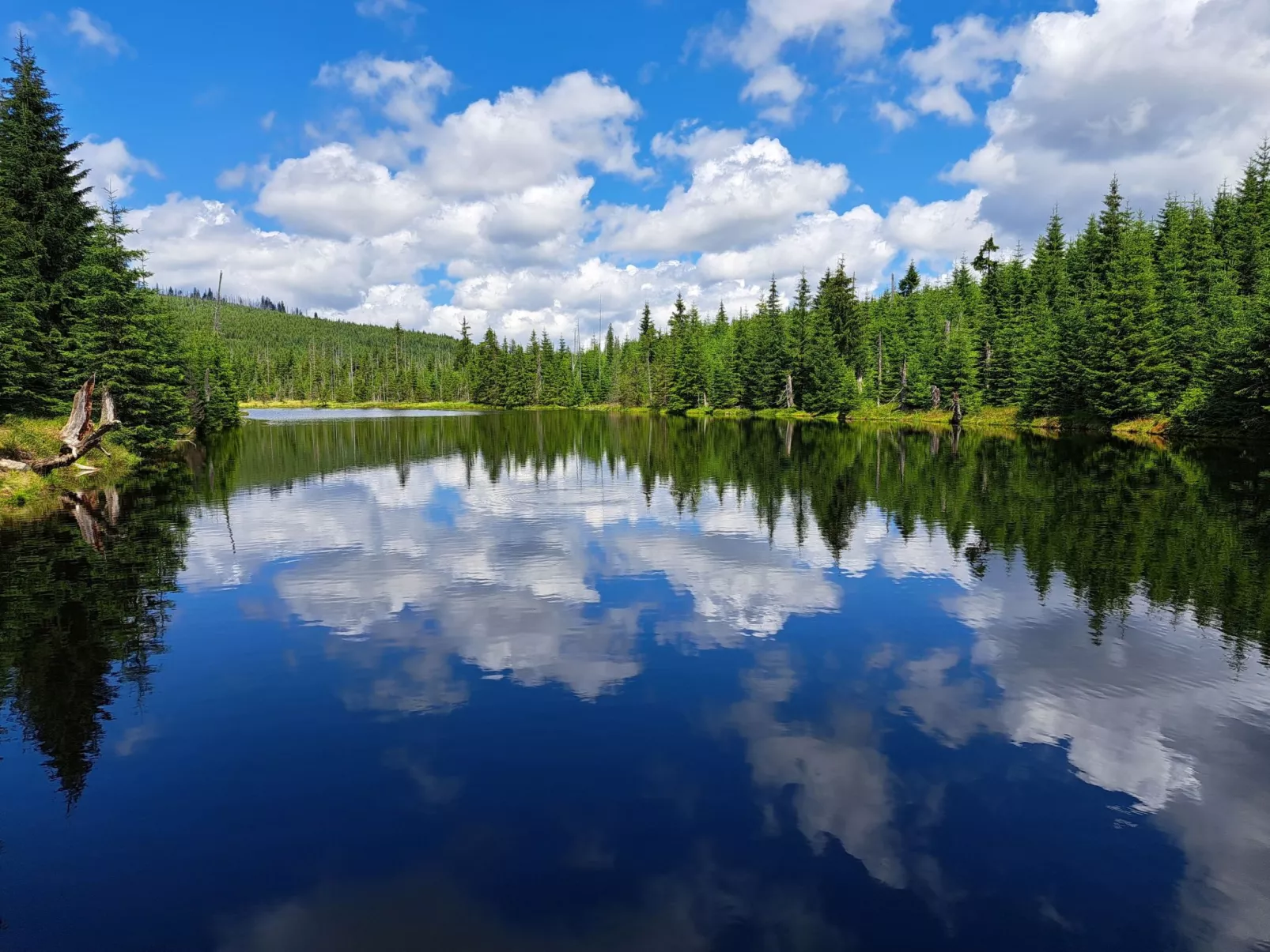 Landhaus Wildfeuer-Outside