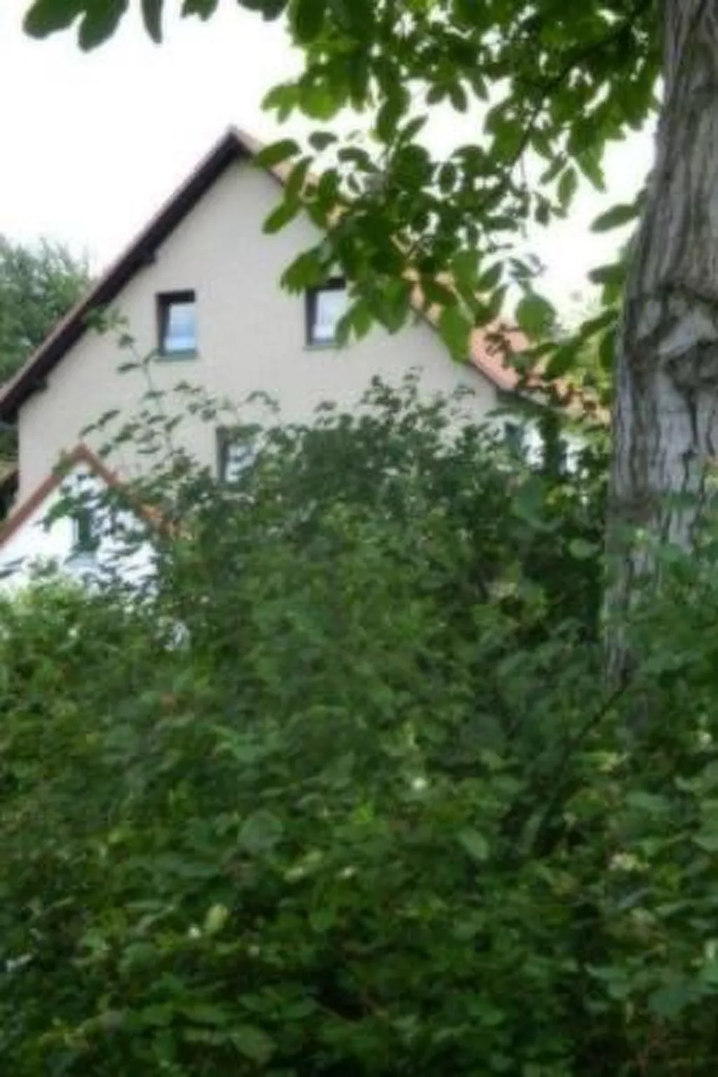 Preiser in Schieder-Schwalenberg-Outside