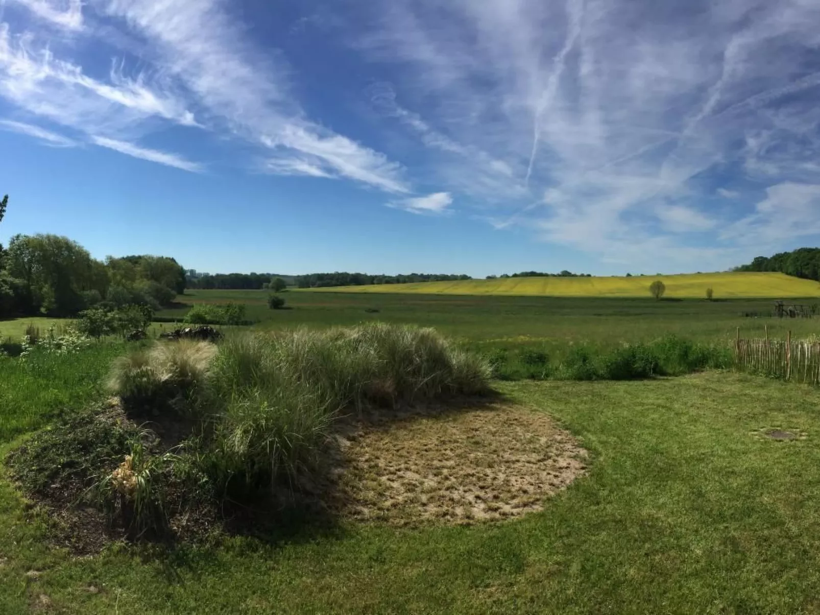 Möwe-Image-tags.info