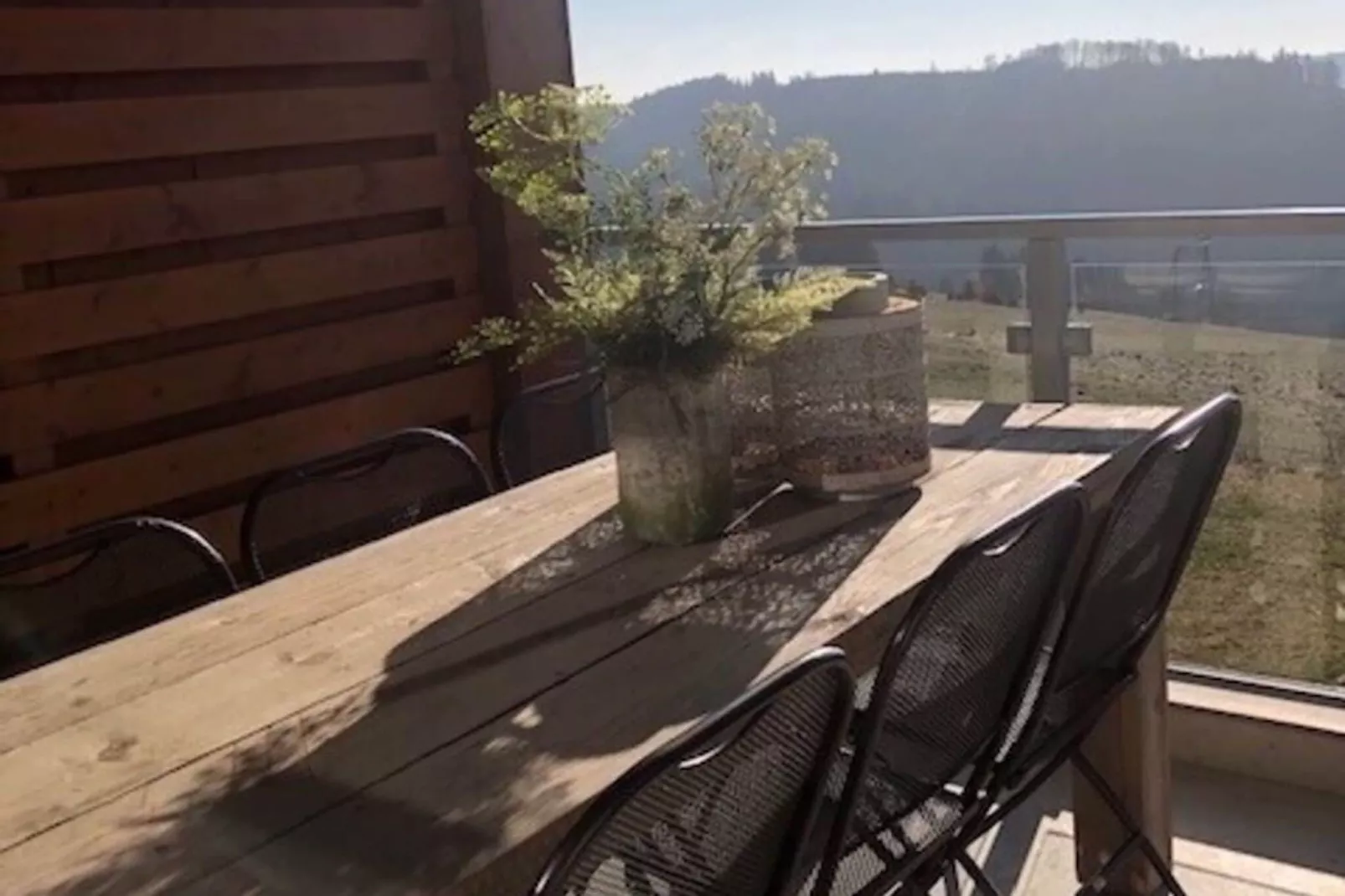 Apartment Am Postwiesen A-Terrace balcony