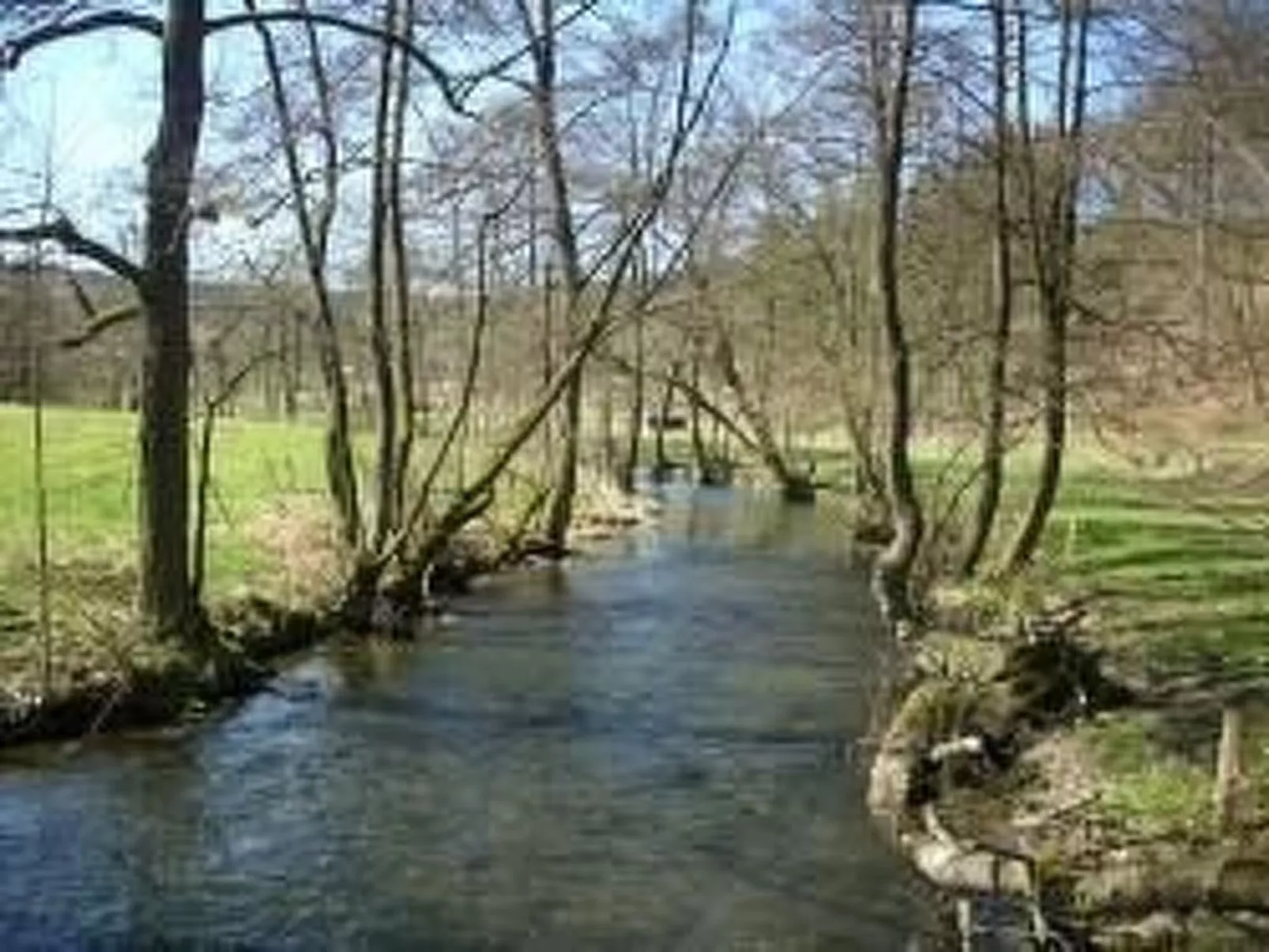 Rübezahl am Diemelse-Dehors