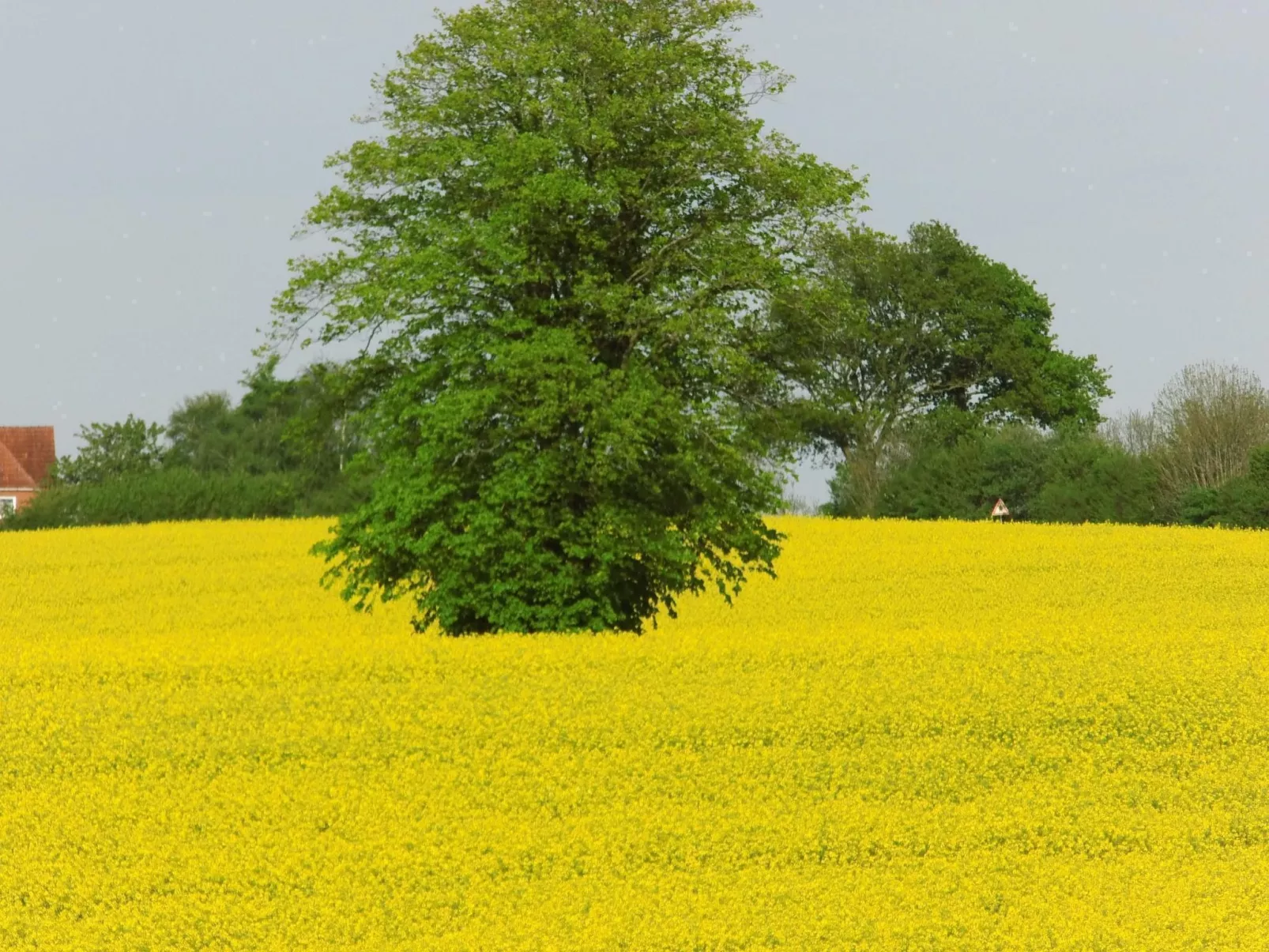 Fewo "Berliner"-Outside