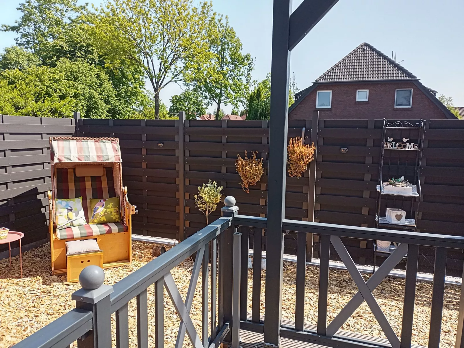 Zwei Finken in Wiesmoor-Outside