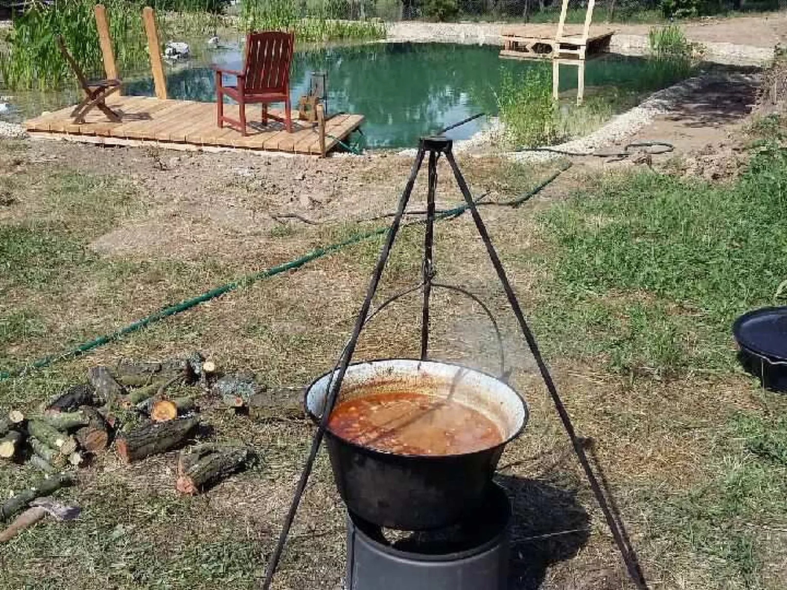 Mit biologischem Schwimmteich-Dehors