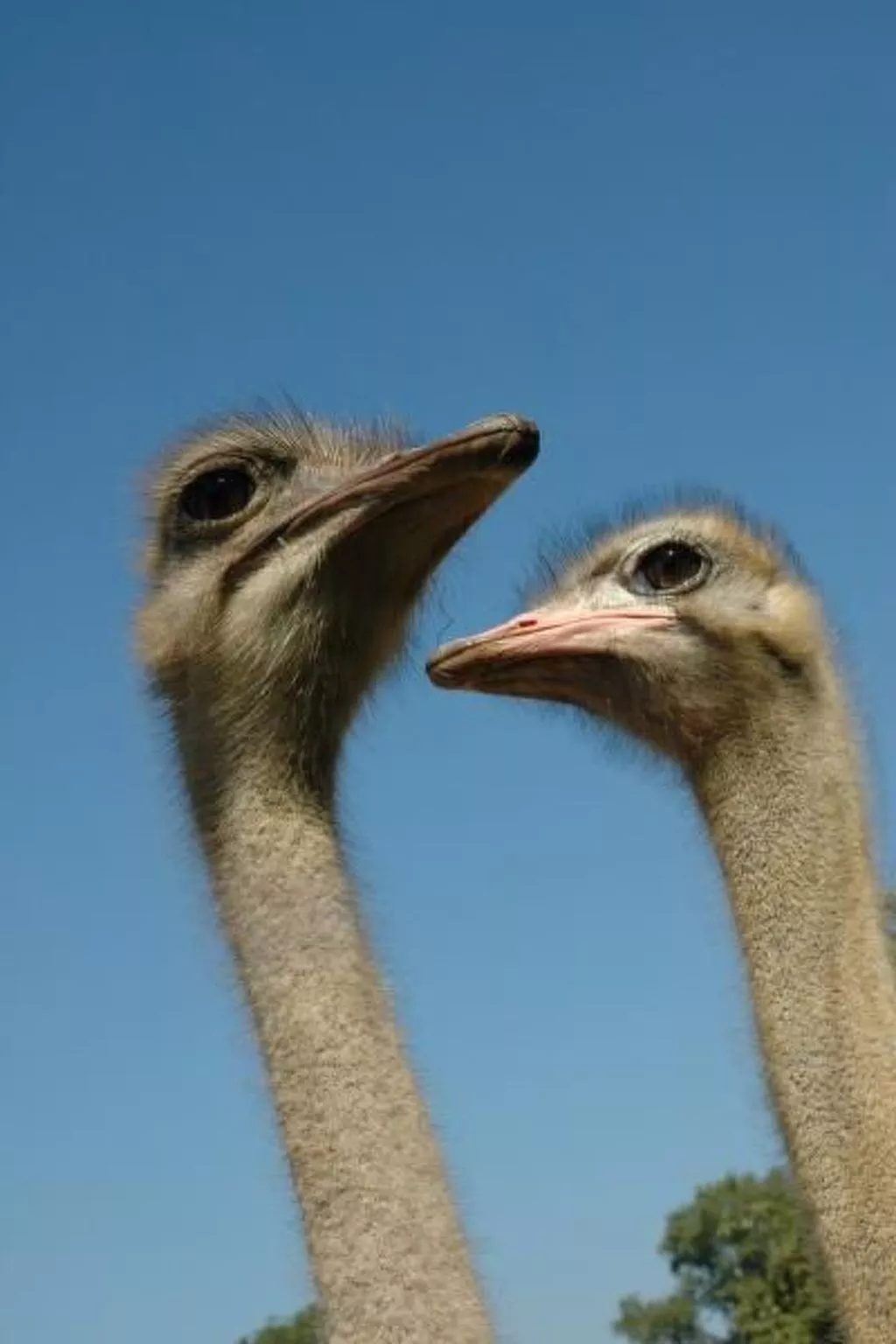 Alleenwiesen-Image-tags.info