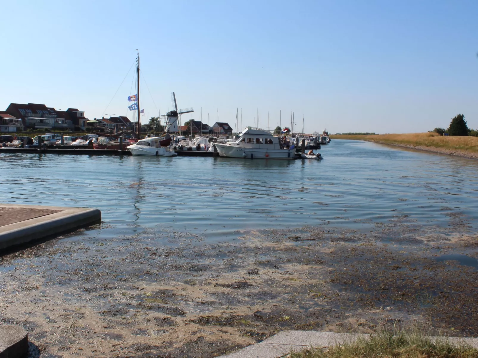 "Buurtweg221" mit Schwimmbad-Draußen