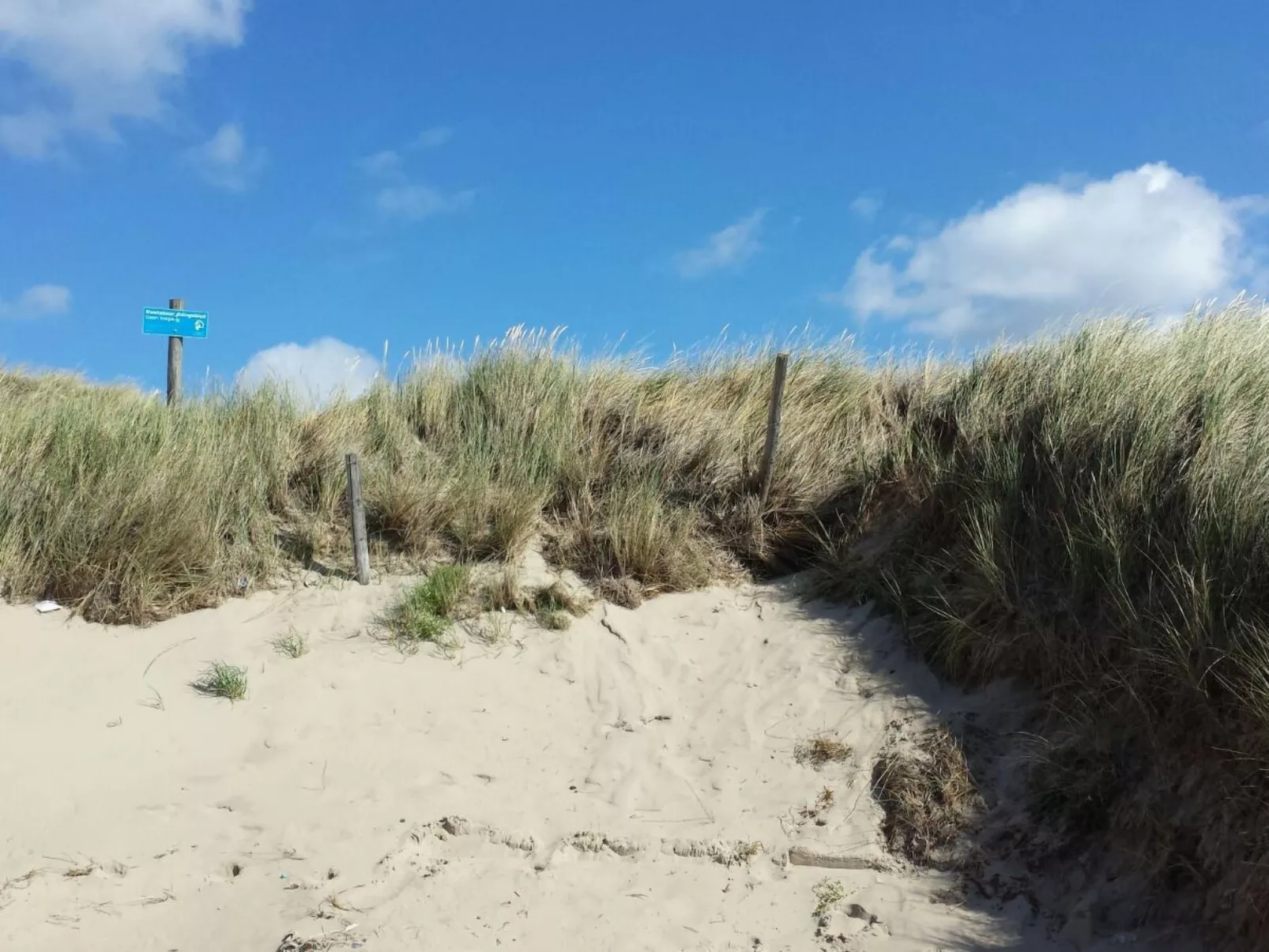 Hilda-Image-tags.info