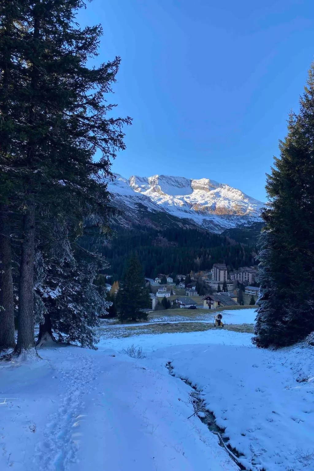 Waterfall House-Dehors