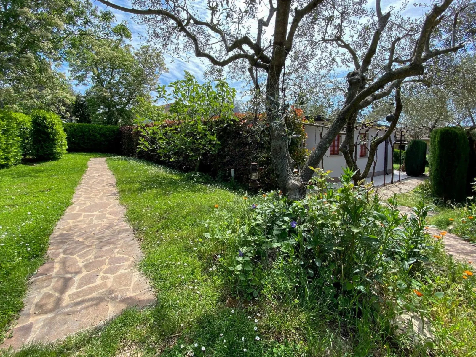 "Timea 2" mit Terrasse-Draußen